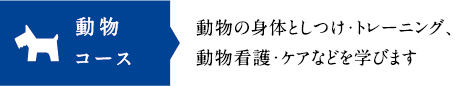 動物コース